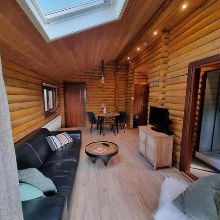 Finse Woning Op De Tulpenweide