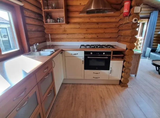 Finse Woning Op De Tulpenweide Vakantiehuis Breezand