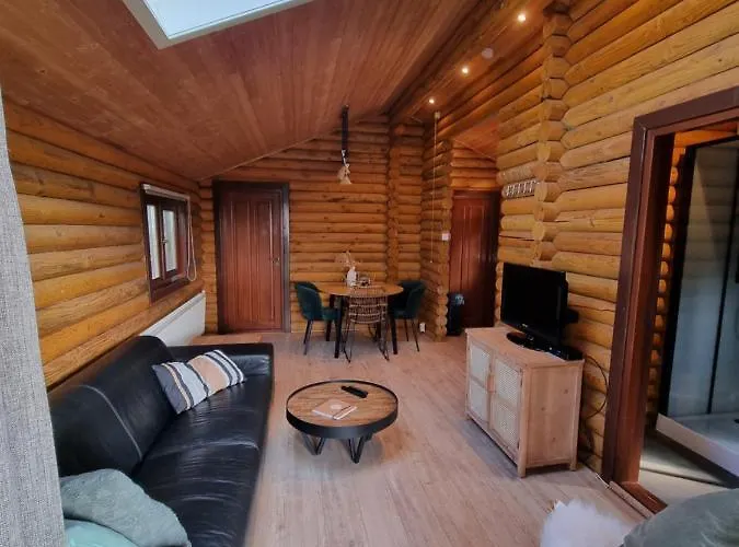 Finse Woning Op De Tulpenweide