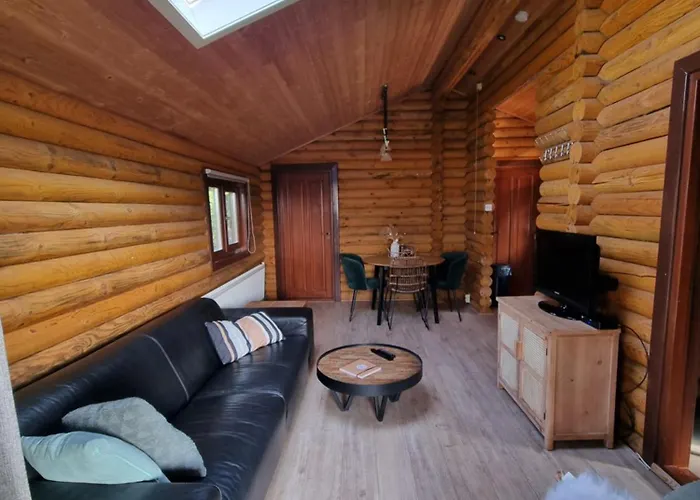 Finse Woning Op De Tulpenweide