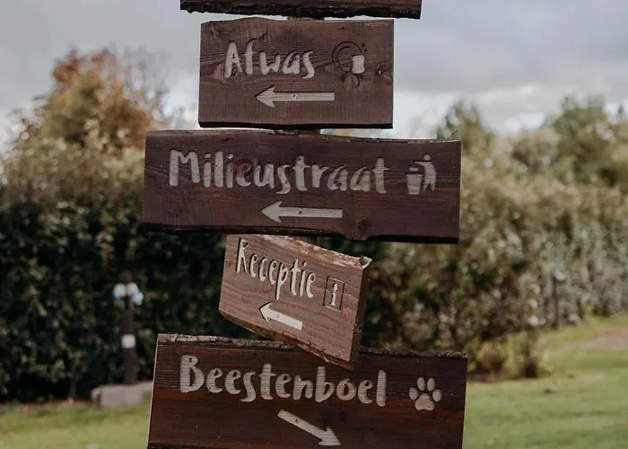 Finse Woning Op De Tulpenweide *